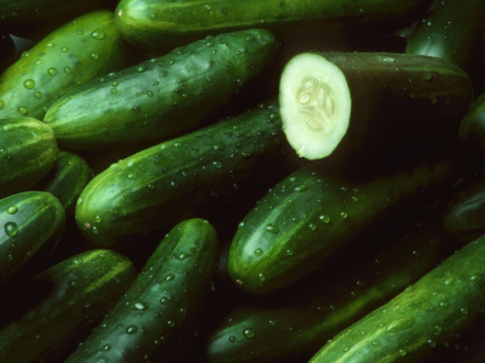 gallery/cuccumbers