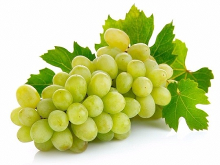 gallery/grapes
