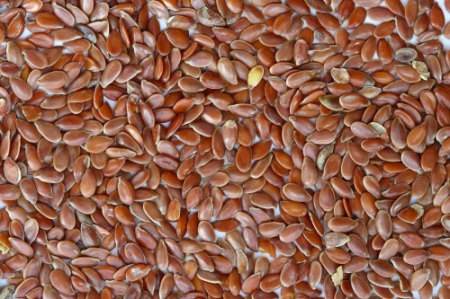 gallery/aloe vera seeds