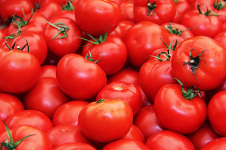gallery/tomatoes