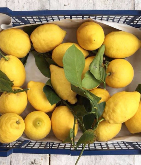 gallery/lemon